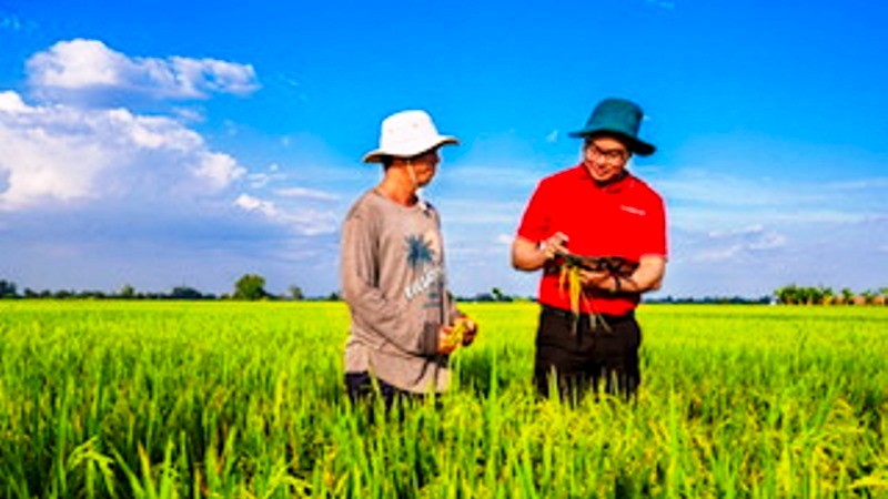 Thực hiện chủ trương của Chính phủ và Ngân hàng Nhà nước, phát huy vai trò chủ lực trong đầu tư phát triển 