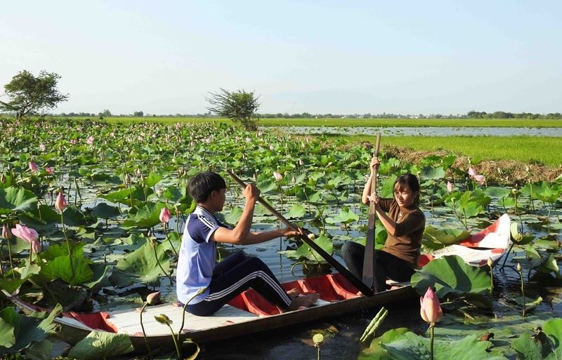 NDO -  NDĐT - Từ lâu, làng Chăm Mỹ Nghiệp, huyện Ninh Phước, tỉnh Ninh Thuận đã nổi tiếng là làng nghề dệt thổ cẩm truyền thống, thu hút nhiều du khách trong nước và quốc tế. Gần đây, Khu du lịch sinh thái Sen Caraih hấp dẫn nhiều du khách đến tham quan vẻ đẹp độc đáo giữa không gian miền quê mộc mạc, thanh bình này.