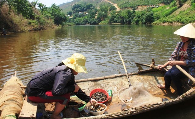 NDO -  NDĐT - Sáng 6-5, tại các xã Thạch Quảng, Thành Mỹ, huyện Thạch Thành, tỉnh Thanh Hóa tiếp tục phát sinh hiện trạng cá nuôi trong 32 lồng của chín hộ dân trên sông Bưởi bị chết, nổi trắng, ước tổng trọng lượng khoảng 5,3 tấn.