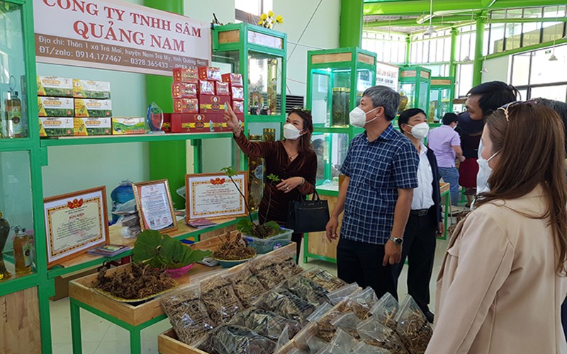 NDO -  Thông tin từ UBND huyện Nam Trà My (Quảng Nam) cho biết, kết thúc phiên chợ sâm Ngọc Linh lần thứ 51, người dân và doanh nghiệp đã thu được 3,2 tỷ đồng.