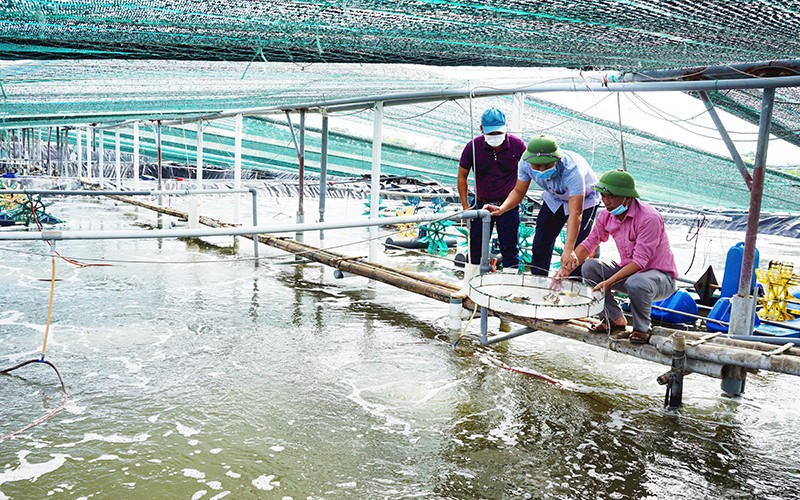 Được thiên nhiên ưu đãi bờ biển trải dài gần 150 km, các tỉnh vùng nam đồng bằng sông Hồng như Ninh Bình, Nam Định, Thái Bình trong những năm qua đã khai thác khá tốt tiềm năng, lợi thế, bước đầu đưa kinh tế biển trở thành động lực tăng trưởng. Tuy nhiên, quy mô phát triển còn nhỏ lẻ, manh mún, cần phải tạo ra khâu “đột phá”. Để đẩy nhanh chuyển dịch cơ cấu kinh tế, nâng cao đời sống người dân vùng ven biển.