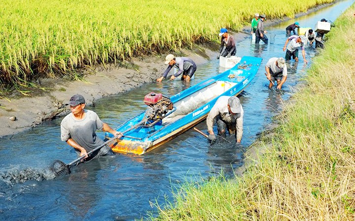 Là vùng đất trù phú, trung tâm sản xuất nông nghiệp lớn nhất nước nhưng hiện nay đồng bằng sông Cửu Long (ĐBSCL) đang xuất hiện một tình trạng đáng lo ngại là nhiều người dân tìm cách di cư tới miền đất mới mưu sinh, lập nghiệp. Mong muốn và nỗ lực để có điều kiện sống tốt hơn là điều cần khuyến khích, nhưng về lâu dài nếu không có hướng giải quyết phù hợp, nguy cơ sẽ nảy sinh không ít hệ lụy xã hội.