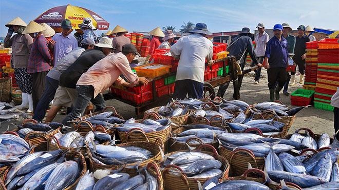 (ĐCSVN) - Thủ tướng Chính phủ Phạm Minh Chính ký Công điện số 127/CĐ-TTg chấn chỉnh công tác cấp giấy xác nhận nguyên liệu thủy sản khai thác, giấy chứng nhận thủy sản khai thác tại địa phương.