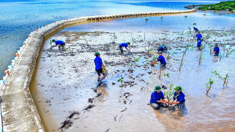  Nhiều phần việc ấn tượng của thanh niên Cà Mau 