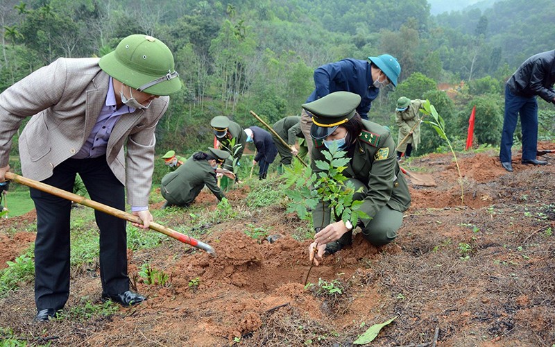  Yên Bái tập trung trồng mới hơn 3.000 ha rừng 