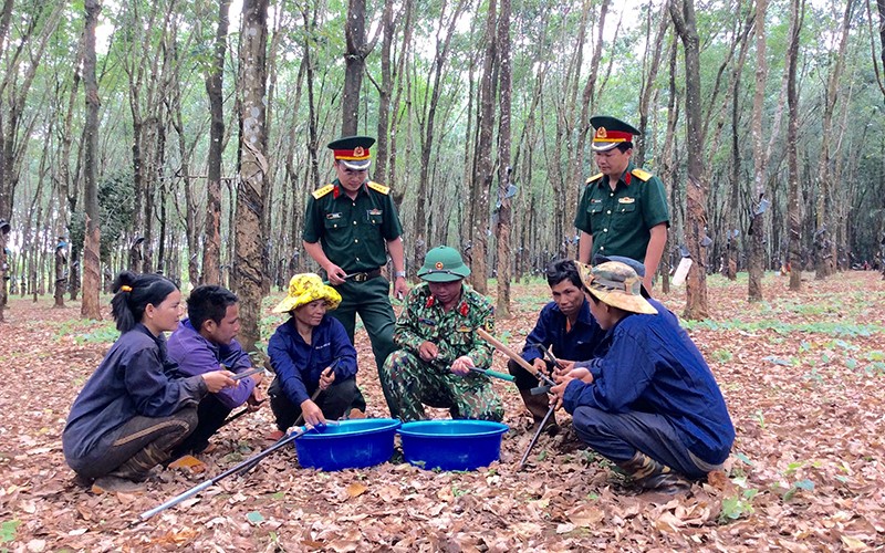  Đảng viên người dân tộc thiểu số gương mẫu 