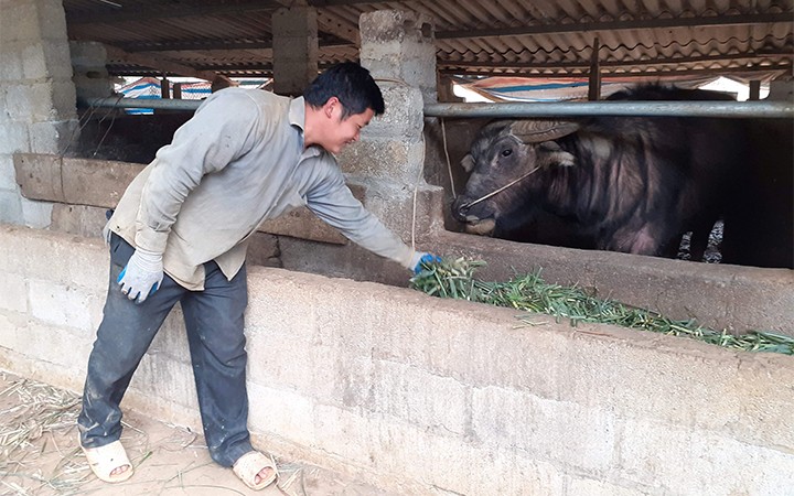  Phát huy hiệu quả các chính sách dân tộc ở Cao Bằng 