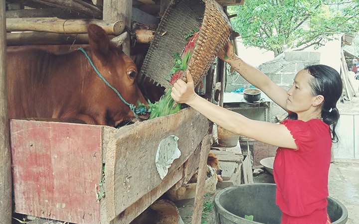  Đổi thay ở vùng cao Hà Giang 