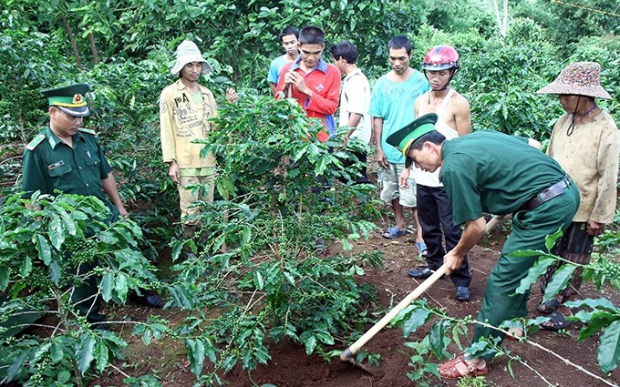 Không chỉ thực hiện tốt nhiệm vụ quản lý, bảo vệ chủ quyền biên giới quốc gia, thời gian qua, Bộ đội Biên phòng tỉnh Quảng Trị còn thực hiện nhiệm vụ kép, vừa làm tốt công tác ngăn chặn dịch Covid-19, vừa giúp đồng bào các dân tộc thiểu số (DTTS) phục hồi sản xuất sau dịch bệnh. Các đồn biên phòng triển khai nhiều mô hình phát triển kinh tế, hướng dẫn vùng biên chuyển đổi cơ cấu cây trồng, vật nuôi, từng bước ổn định cuộc sống.