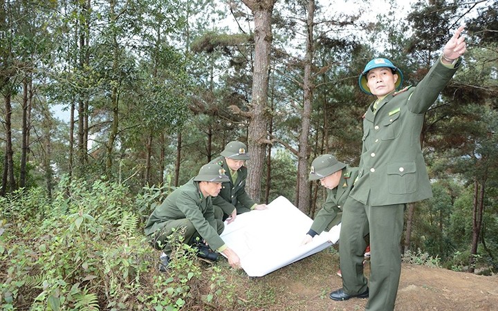  Yên Bái chủ động phòng, chống cháy rừng 