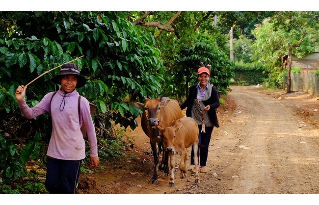  Phát triển kinh tế nhờ nguồn vốn chính sách xã hội 