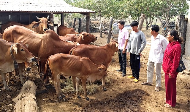  Ðắk Lắk phát huy tốt nguồn vốn ưu đãi 