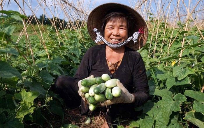  Giúp đồng bào Khmer giảm nghèo 