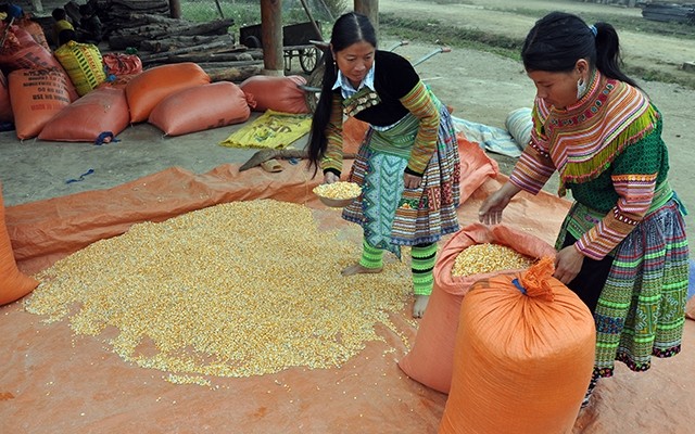  Ðổi mới ở huyện vùng cao Trạm Tấu 