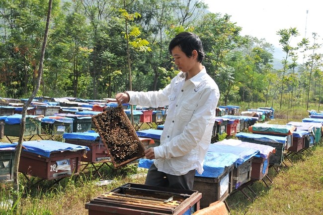  Hội Nông dân Việt Nam tham gia phát triển kinh tế - xã hội vùng DTTS và MN 