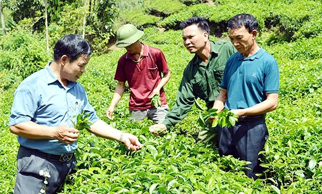  Văn Chấn thực hiện tốt công tác giảm nghèo 