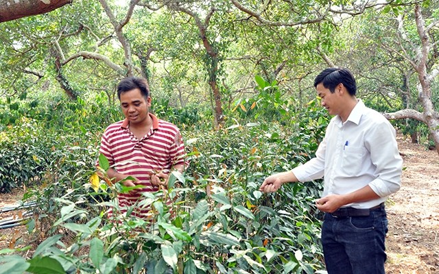  Cán bộ Ðoàn năng động, làm kinh tế giỏi 