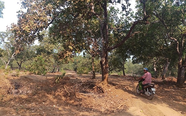  Ngăn chặn tình trạng cầm cố, mua bán đất sản xuất của đồng bào dân tộc thiểu số 