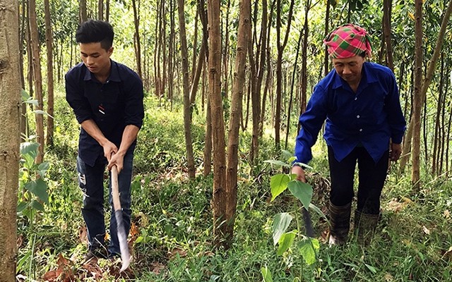  Người Hà Nhì giữ rừng, giữ đường biên, cột mốc 