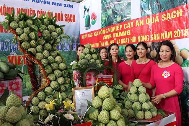  Sơn La đẩy mạnh quảng bá giới thiệu hàng nông sản 