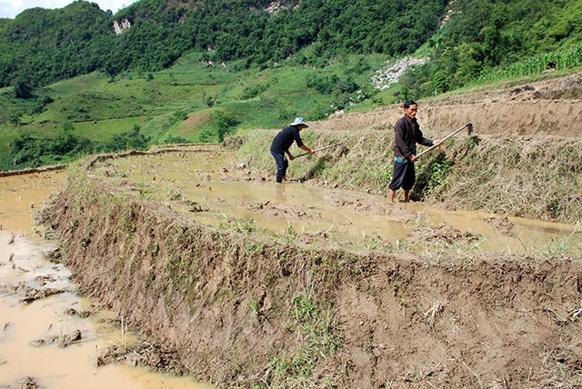  Khai hoang, phục hóa ruộng bậc thang ở Ðiện Biên 