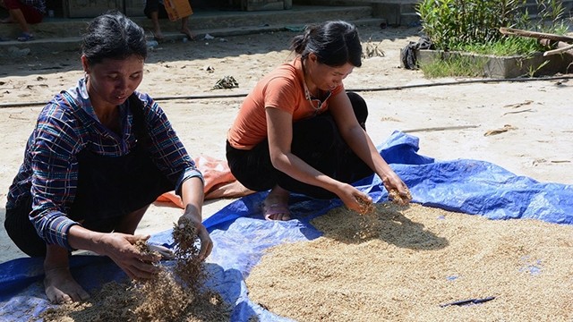  Yên Bái hỗ trợ gạo cho đồng bào bị thiên tai 