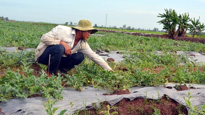  Ðồng bào Khmer chung sức xây dựng nông thôn mới 