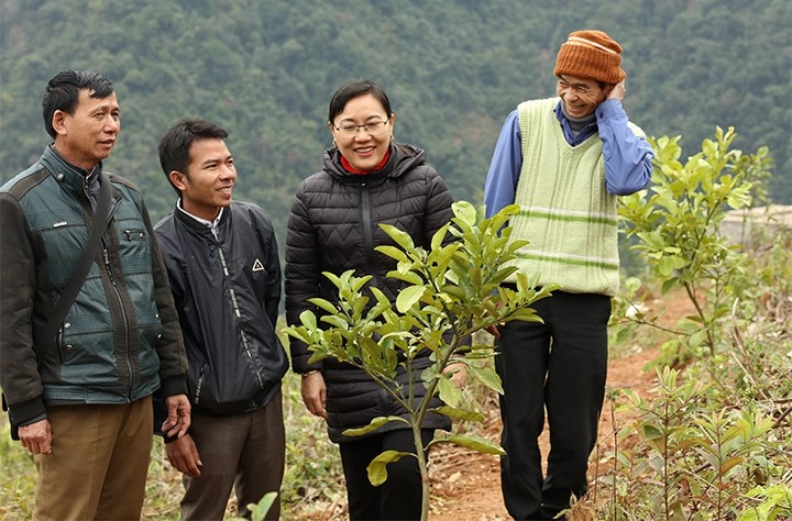  Tết sớm nơi vùng lũ Mường La 