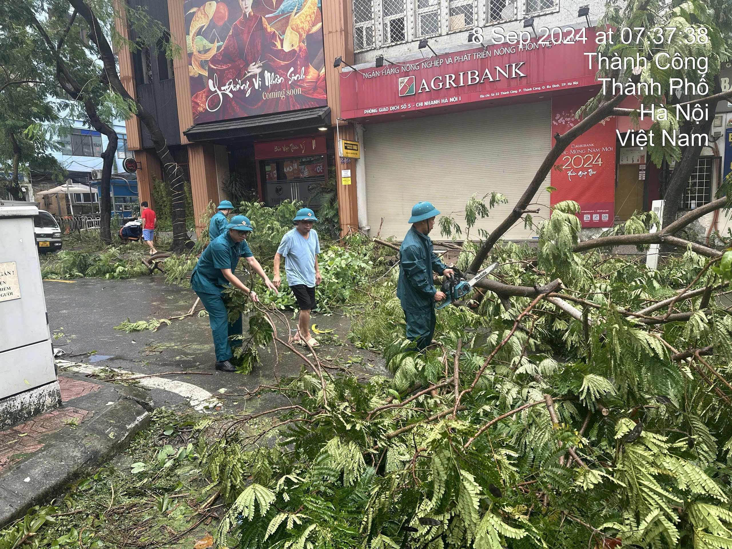 (ĐCSVN) - Ngày 11/9, Văn phòng UBND TP Hà Nội có công văn gửi Sở Xây dựng, Sở Giao thông vận tải (GTVT), Công an Thành phố và UBND các quận về việc phối hợp triển khai công tác khắc phục thiệt hại về cây xanh gãy, đổ sau cơn bão số 3 (Yagi).