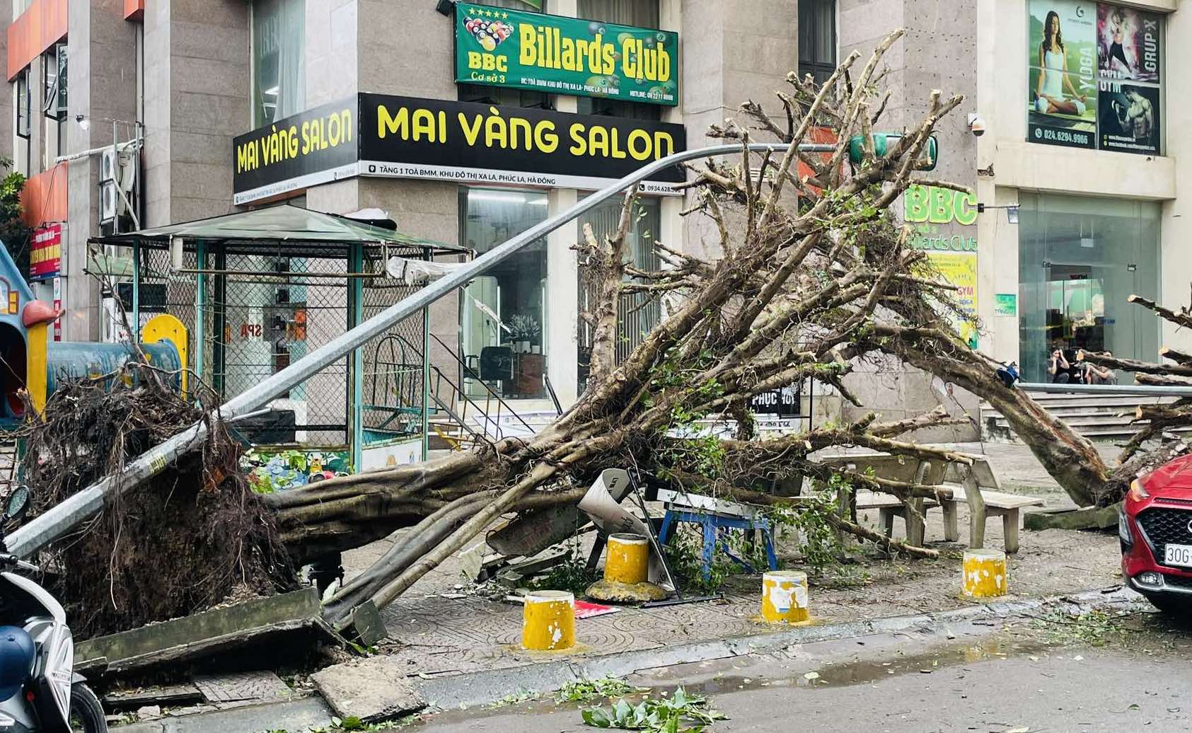 (ĐCSVN) - Trên địa bàn thành phố Hà Nội có 25.156 cây đổ và cành gãy trong cơn bão số 3. Ngoài ra, bão đã gây ra các thiệt hại về người và làm một số phương tiện giao thông, cơ sở hạ tầng bị hư hại.