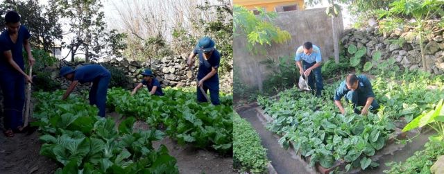 (ĐCSVN) - Đóng quân nơi đảo xa (Bạch Long Vĩ, Hải Phòng), điều kiện tăng gia, sản xuất chịu ảnh hưởng lớn bởi thiếu nguồn nước ngọt, khí hậu khắc nghiệt nhưng bằng ý chí tự lực, tự cường, cán bộ, chiến sĩ Trạm Ra đa 27, Sư đoàn 363, Quân chủng Phòng không - Không quân đã chủ động, sáng tạo xây dựng các mô hình tăng gia, sản xuất hiệu quả. 