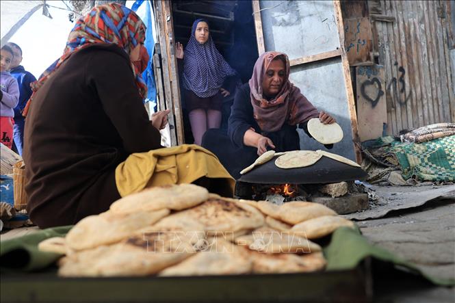 (ĐCSVN) - Israel và Hamas đạt được thỏa thuận ngừng bắn ở Gaza đã mở ra cơ hội an toàn hơn cho nhiều con tin ở cả hai phía. Trong khi đó, 41 công nhân bị mắc kẹt trong vụ sập hầm ở Ấn Độ vẫn chưa được giải cứu; Tòa án Indonesia công bố hồ sơ vụ siro ho nhiễm độc; WHO cảnh báo tình trạng lạm dụng thuốc kháng sinh;… là một số tin tức đáng chú ý của thế giới tuần qua (20-26/11).