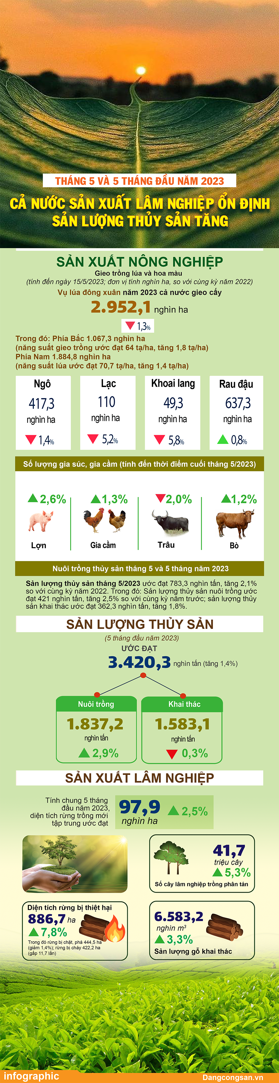 (ĐCSVN) – Tháng 5/2023, vụ lúa đông xuân năm 2023 cả nước gieo cấy được 2.952,1 nghìn ha; sản lượng thủy sản ước đạt 783,3 nghìn tấn. Về lâm nghiệp, tính chung 5 tháng đầu năm 2023, diện tích rừng trồng mới tập trung ước đạt 97,9 nghìn ha, tăng 2,5% so với cùng kỳ năm trước...