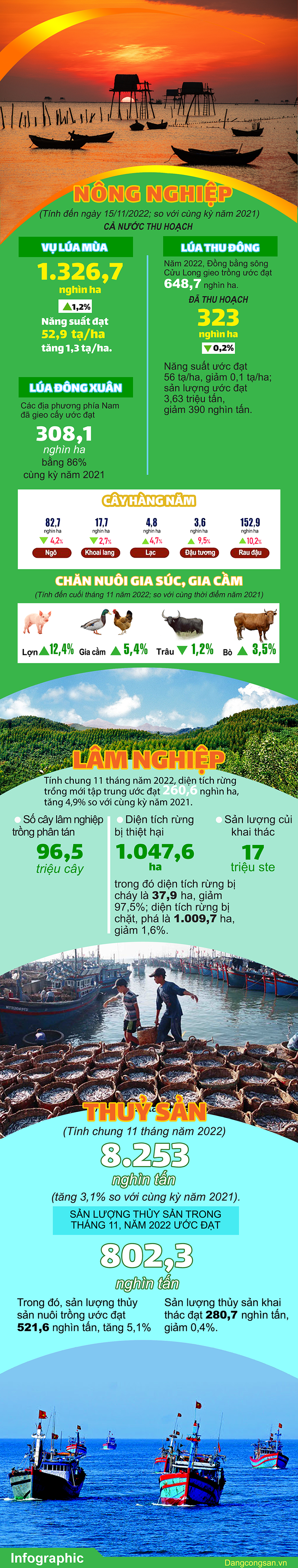 (ĐCSVN) - Tính đến trung tuần tháng 11, cả nước thu hoạch 1.326,7 nghìn ha lúa mùa, chiếm 85,4% diện tích gieo cấy và bằng 101,2% cùng kỳ năm trước; chăn nuôi gia súc, gia cầm trong tháng phát triển ổn định; sản lượng thủy sản tiếp tục tăng trưởng; khai thác gỗ đạt khá, đã tích cực góp phần ổn định kinh tế - xã hội cả nước.