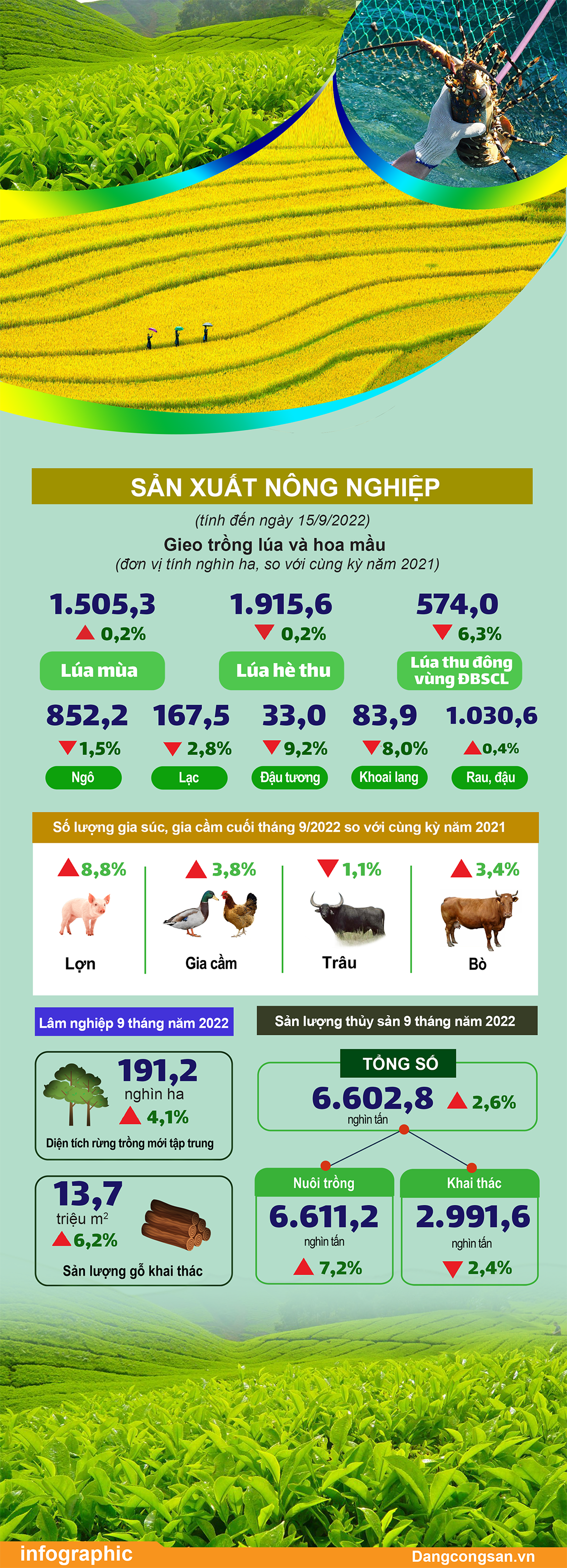 (ĐCSVN) - Theo Tổng cục Thống kê, kết quả sản xuất vụ đông xuân năm 2022 giảm so với vụ đông xuân năm 2021. Năng suất lúa vụ đông xuân đạt 67,2 tạ/ha, giảm 1,5 tạ/ha so với vụ đông xuân năm trước; sản lượng đạt 19,98 triệu tấn, giảm 649 nghìn tấn. So với cùng kỳ năm 2021, diện tích rừng trồng mới tập trung cả nước quý III/2022 ước đạt 71,3 nghìn ha, tăng 5%; sản lượng thủy sản quý III/2022 khoảng 2.406 nghìn tấn, tăng 2,8%. Sản lượng thủy sản 9 tháng năm 2022 ước đạt 6.602,8 nghìn tấn, tăng 2,6%.