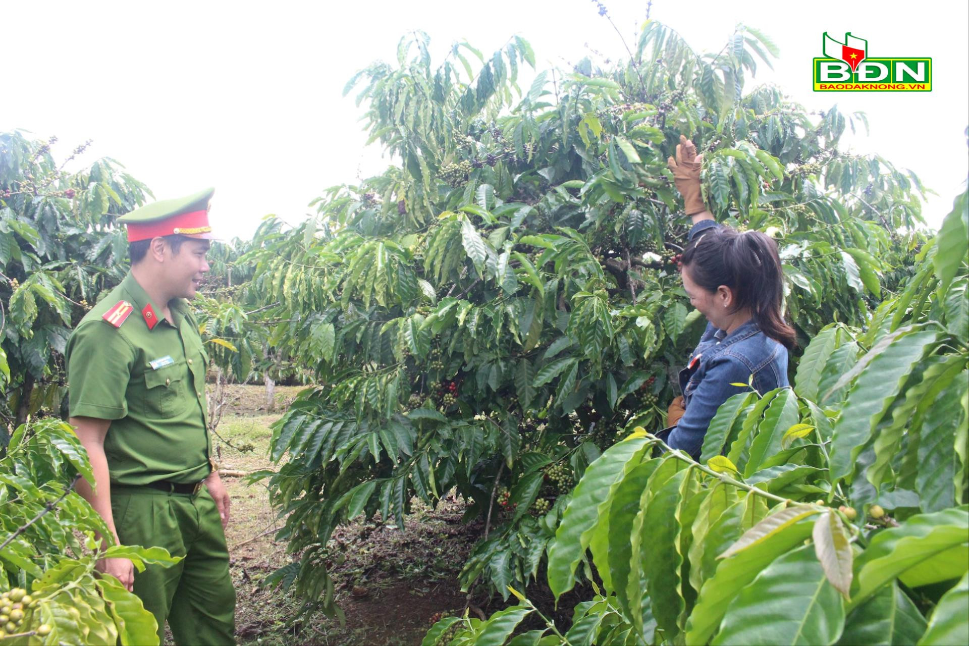 Thiếu tá Nguyễn Quang Thơm, Đội trưởng Đội Thi hành án hình sự và hỗ trợ tư pháp, Công an huyện Krông Nô (Đắk Nông) là một trong những cán bộ, đảng viên trẻ năng nổ, nhiệt huyết với công việc.