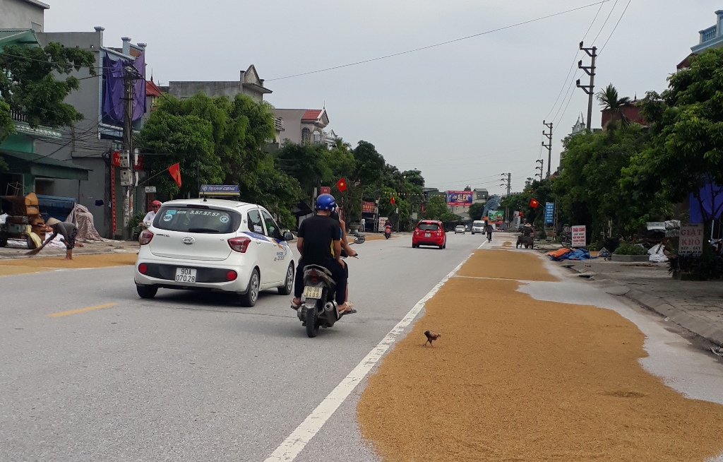 (ĐCSVN) - Hiện đang là thời gian cao điểm thu hoạch lúa và nông sản, tình trạng biến mặt đường giao thông thành “sân phơi” lại diễn ra tràn lan ở một số địa phương. Tình trạng trên gây mất ATGT nghiêm trọng, các địa phương cần có biện pháp chấn chỉnh kịp thời.