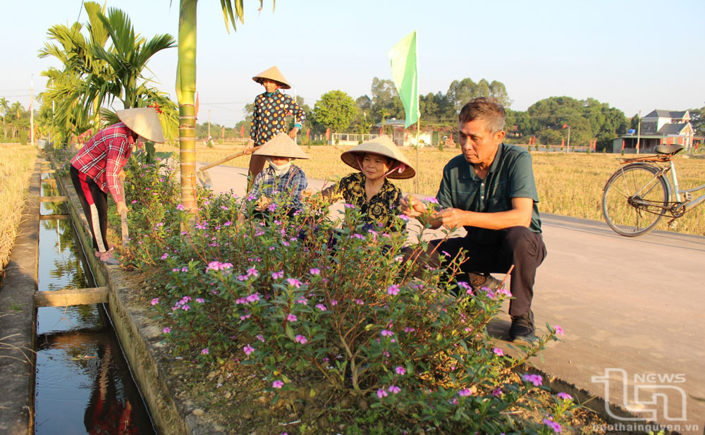 Mang trên vai trách nhiệm đứng đầu Chi bộ xóm Lương Trình, xã Lương Phú, huyện Phú Bình, tỉnh Thái Nguyên ông Nguyễn Văn Định luôn trăn trở tìm cách làm phù hợp để nâng cao đời sống vật chất, tinh thần cho người dân. Với sự tâm huyết, gương mẫu của mình, ông Định đã khơi dậy được sức dân xây dựng thành công xóm nông thôn mới kiểu mẫu, trở thành lá cờ đầu của xã trong các phong trào.