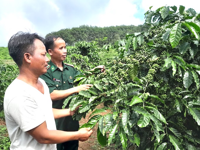 (ĐCSVN) - Sinh ra và lớn lên trong một gia đình nông dân nghèo ở Tây Nguyên nên Thiếu tá Xiêng Văn A  Bứt hiểu rõ nguyên nhân đói nghèo của người dân nơi đây. Sau khi được đơn vị phân công giúp gia đình anh A Biên thoát nghèo, Thiếu tá Xiêng Văn A Bứt đã kiên trì vận động, giúp anh A Biên chuyển biến nhận thức và hành động, quyết tâm vươn lên thoát nghèo…