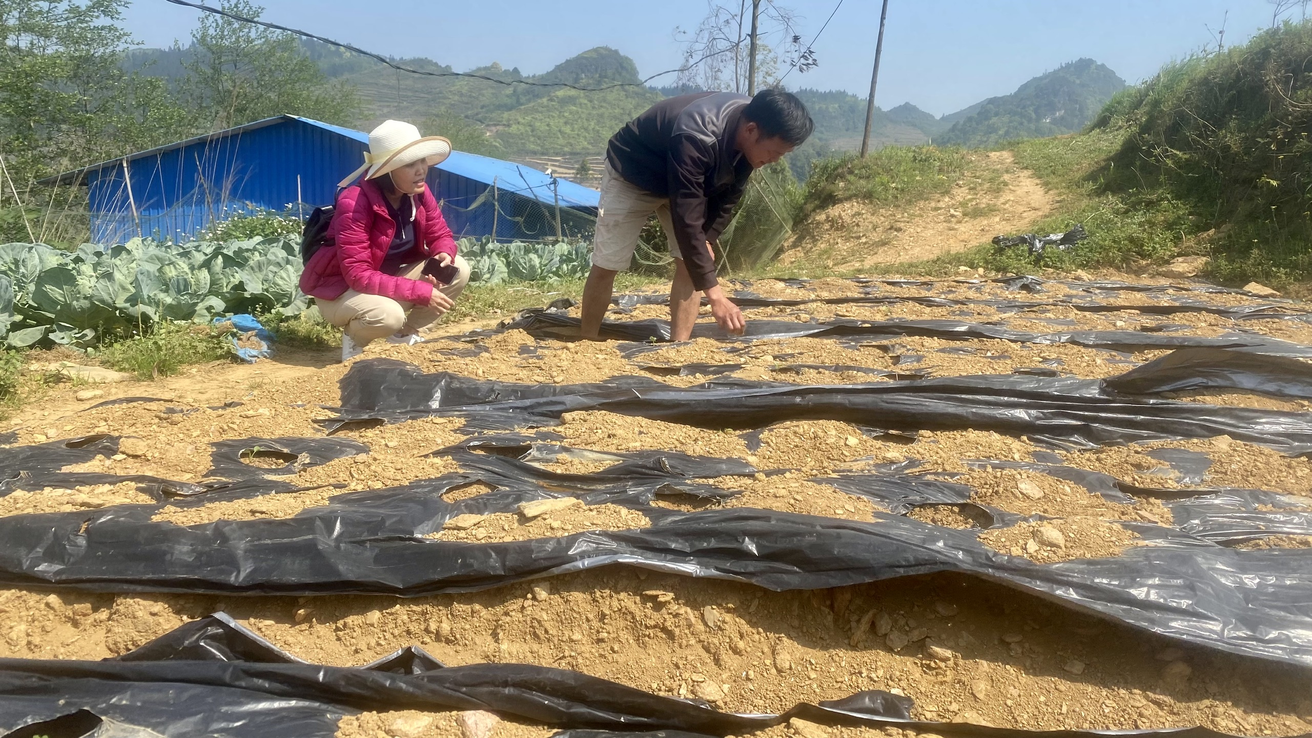 (ĐCSVN) - Từ hai bàn tay trắng, chàng thanh niên dân tộc Tày Hoàng Văn Mơi (xã Xín Mần, huyện Xín Mần, Hà Giang) đã nỗ lực vượt mọi khó khăn, từng bước phát triển kinh tế gia đình và trở thành hộ có thu nhập khá, được nhiều bà con trong vùng biết đến, học hỏi kinh nghiệm. Niềm vui lớn nhất của Mơi là được đứng trong hàng ngũ của Đảng.