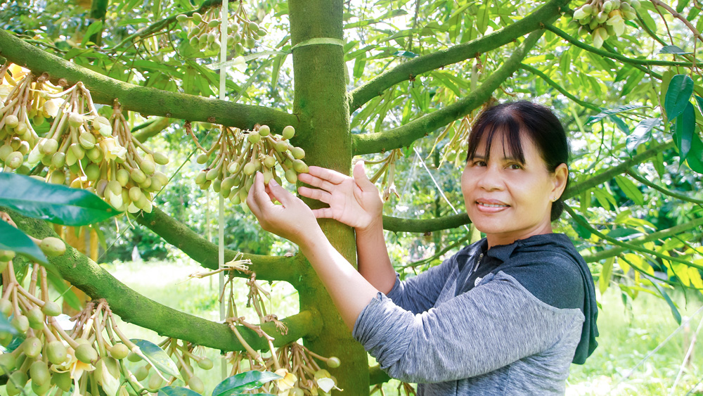 Chị cười thật duyên: “Phải có kinh tế, phải có thu nhập ổn định, không lẽ để bụng đói đi làm công tác xã hội”; tôi ấn tượng ngay từ đầu về câu nói thẳng thắn của một nữ bí thư chi bộ.