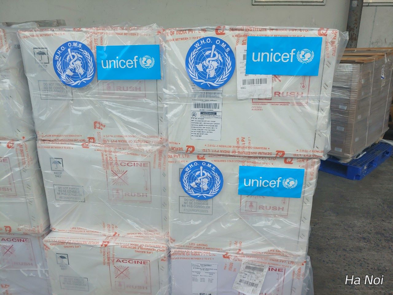 (ĐCSVN) - 185.700 liều vắc-xin 5 trong 1 do WHO và UNICEF tặng Việt Nam đã về đến Hà Nội ngày 27/7. Số vắc-xin này sẽ được kiểm định sau đó phân bổ cho các địa phương để phục vụ công tác tiêm chủng mở rộng cho trẻ em.