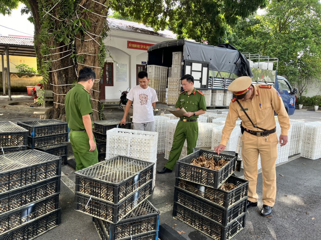 (ĐCSVN) - Công an huyện Vân Đồn, tỉnh Quảng Ninh vừa bắt giữ xe ô tô tải vận chuyển 24 nghìn quả trứng gà, vịt và 3.266 con gà giống không rõ nguồn gốc. 