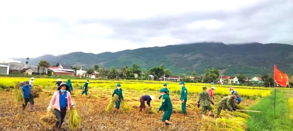 (ĐCSVN) – Hàng trăn cán bộ, chiến sỹ lực lượng vũ trang Quân khu 5, Bộ Chỉ huy Quân sự tỉnh Bình Định và các huyện tại địa phương này cùng các lực lượng tại chỗ khác như: Dân quân tự vệ, đoàn viên, thanh niên…. đang ra quân xuống đồng, giúp dân thu hoạch lúa sau mưa lớn trái mùa và gió mạnh bất thường gây ra nhiều thiệt hại cho mùa màng.