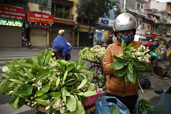 (ĐCSVN) – Đầu tháng 3, những chiếc giỏ xe mang tới một màu trắng tinh khôi và hương thơm dịu dàng hoa bưởi, báo hiệu khoảng thời gian giao mùa giữa Xuân sang Hạ.