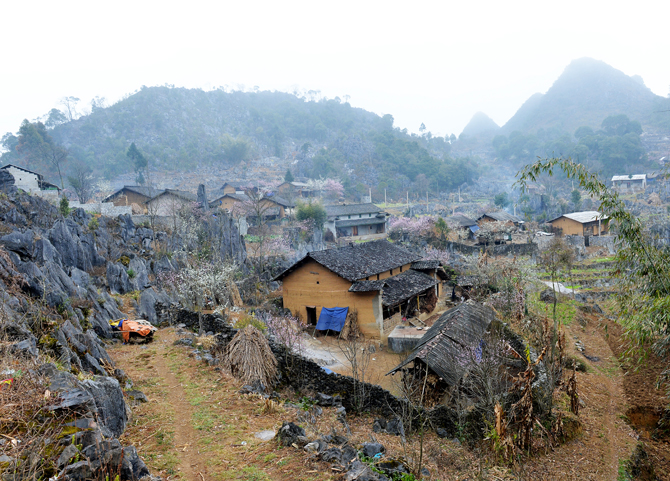 (ĐCSVN) – Sau những ngày ngủ đông, Cao nguyên đá Đồng Văn (Hà Giang) thức giấc với những mảng màu thiên nhiên rực rỡ trên khắp những rẻo cao. Nắng xuân ấm áp thay cho những ngày mưa phùn, giá lạnh. Hoa cải ngập tràn thung lũng, hoa đào, hoa mận khoe sắc nên nền đá xám. Khi cao nguyên cởi bỏ chiếc áo cỏ dại là lúc đồng bào nơi đây bắt đầu vụ mùa mới.