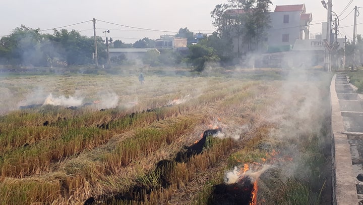 (ĐCSVN) - Hiện đang là cao điểm diễn ra việc thu hoạch vụ lúa đông xuân (còn gọi là vụ chiêm) ở các địa phương.  “Đến hẹn lại lên”, sau khi thu hoạch lúa lại tái phát hành vi đốt rơm rạ bừa bãi khiến môi trường không khí nhất là ở các làng quê trở nên ngột ngạt, ô nhiễm. 