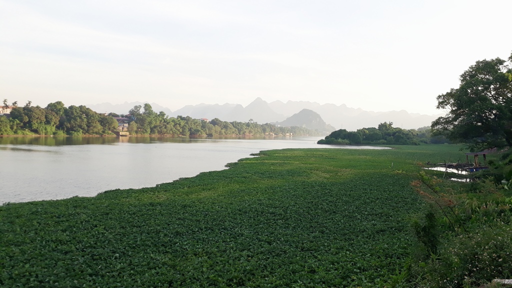 (ĐCSVN) - Dưới đôi bàn tay tài hoa và con mắt thẩm mỹ của nghệ nhân, những thớ đất tưởng như vô tri đã trở nên có hồn hơn cả tranh vẽ. Những con vật thân quen được tạc vào gốm vô cùng sinh động. Để làm được vậy, hẳn người nghệ nhân phải truyền được cả cái tâm của mình vào từng tác phẩm.​