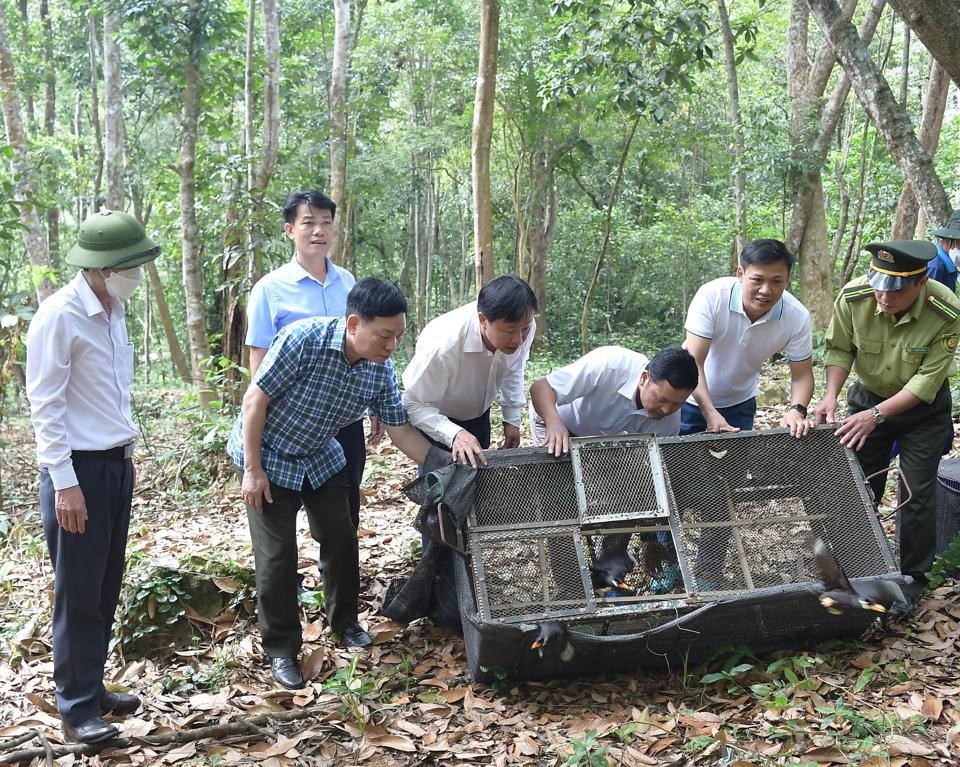 (ĐCSVN) - Nhận thức rõ vai trò của đa dạng sinh học đối với bảo vệ môi trường sinh thái, thời gian qua, Chi cục Kiểm lâm Hà Nội đã triển khai nhiều biện pháp bảo vệ động vật hoang dã (ĐVHD) cũng như kéo giảm số vụ vi phạm tàng trữ, buôn bán, vận chuyển ĐVHD trái phép.