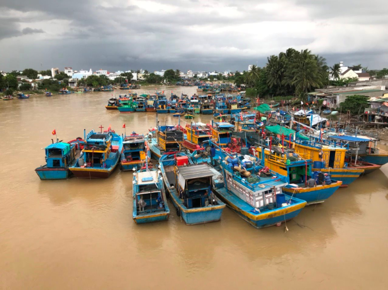 Việt Nam quyết tâm chống khai thác thủy hải sản bất hợp pháp, không khai báo và không theo quy định (IUU)